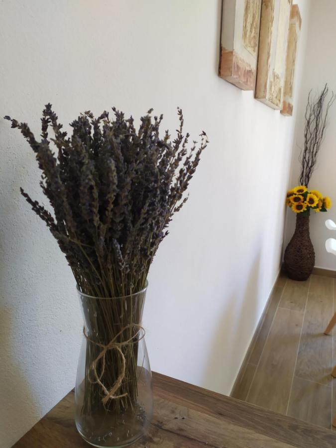 Apartamentos Xert Escapadas En Castellon Cerca De Morella Y Peniscola Chert Sant Mateu Zewnętrze zdjęcie